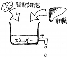 エネルギー補う仕組みイラスト