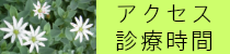 アクセス・診療時間