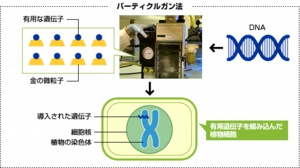 パーティクルガン法の図